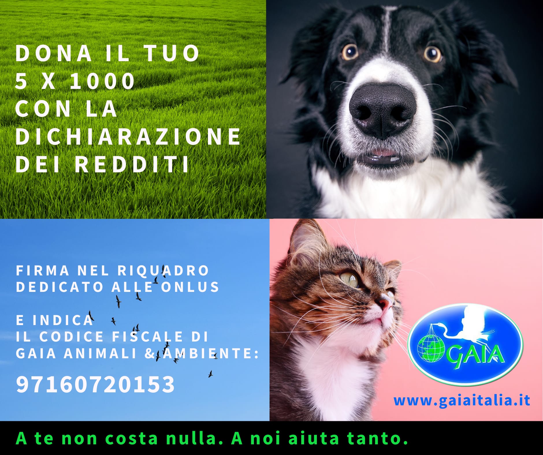 5x1000 2020 2. usato su fb e.m e gaia e93517c0-d5c1-4b0a-a8ac-ac747d31cf1d - copia